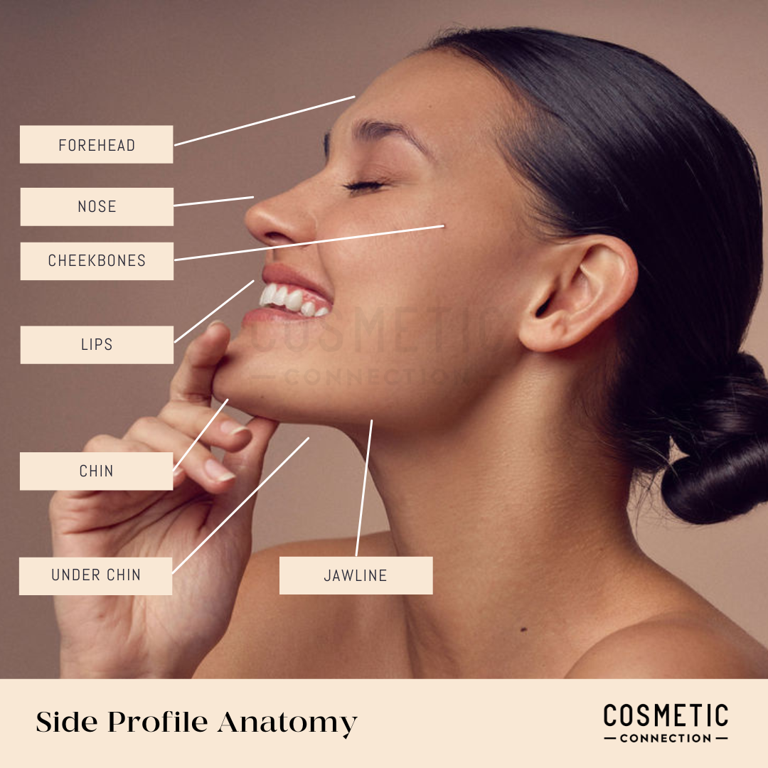 A woman is shown in side profile with labels pointing to her forehead, nose, cheekbones, lips, chin, under chin, and jawline. The image emphasizes facial anatomy related to cosmetic connections.